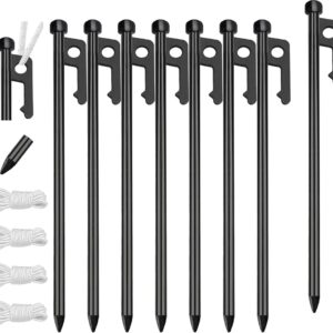 Balsam Fir (Abies balsamea)